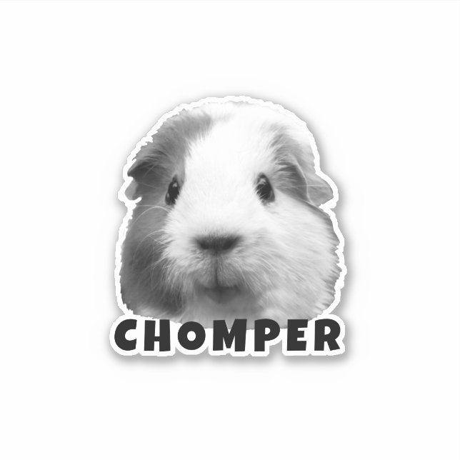 Upload Your Pet Guinea Photo & Name Personalised  (Front)