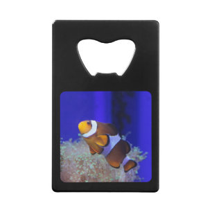 Upload your photo credit card bottle opener