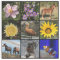 Upload your photo