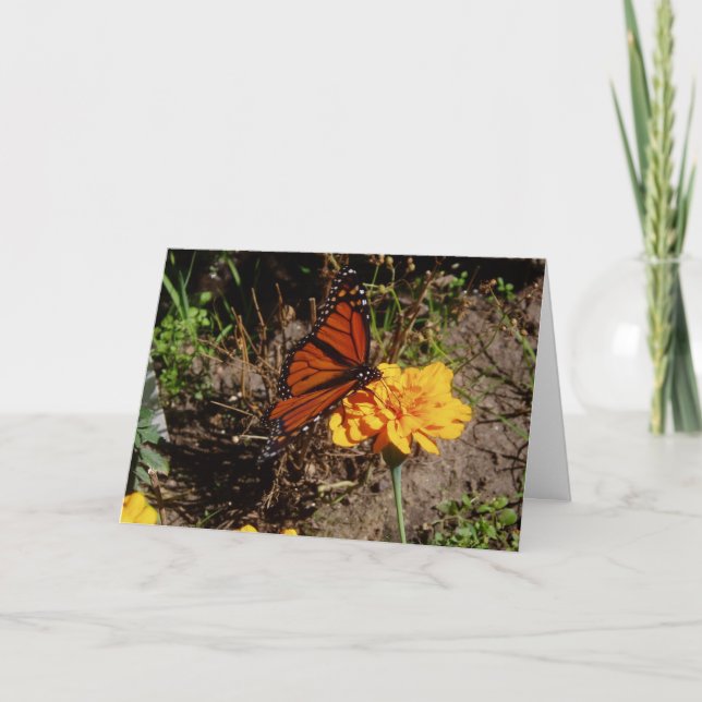 "Upon A Marigold" Get Well Card (Front)