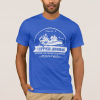 Upper Animas River (rafting 2)