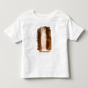 Upper Antelope Canyon, Page, Arizona Toddler T-Shirt