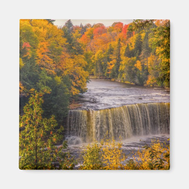 Upper Falls with Fall Colours Magnet (Front)
