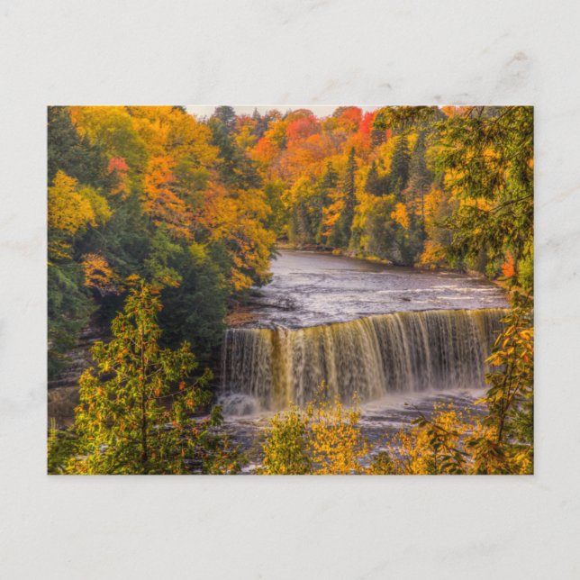 Upper Falls with Fall Colours Postcard (Front)