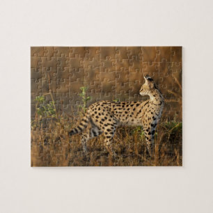 Upper Mara, Masai Mara Game Reserve, Kenya, Jigsaw Puzzle