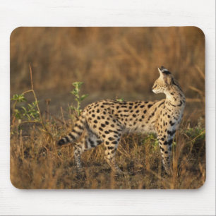 Upper Mara, Masai Mara Game Reserve, Kenya, Mouse Mat