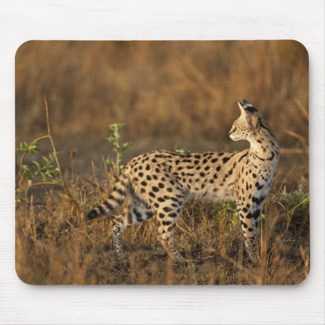 Upper Mara, Masai Mara Game Reserve, Kenya, Mouse Mat (Front)