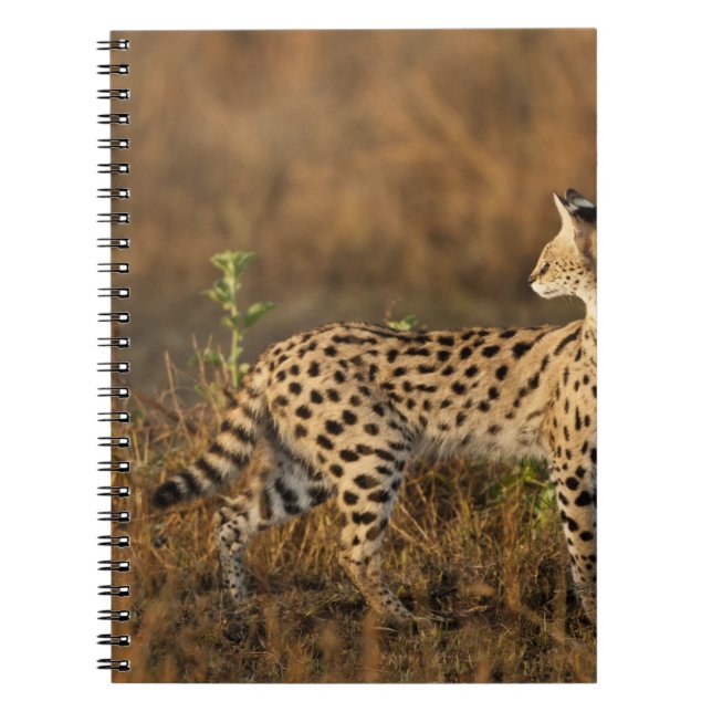 Upper Mara, Masai Mara Game Reserve, Kenya, Notebook (Front)