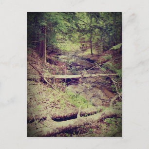 Upper Peninsula Creek Postcard