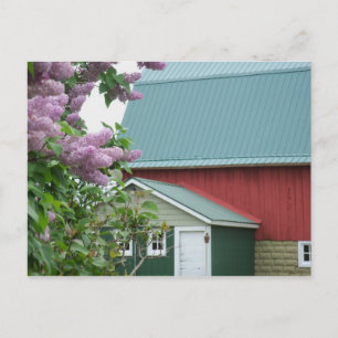 Upper Peninsula Michigan Red Barn Lilac Postcard