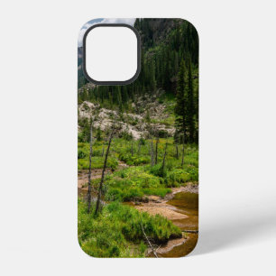 Upper Piney Trail, near Vail, Colorado. vail,colou iPhone 12 Case