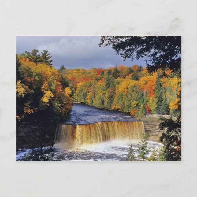 Upper Tahquamenon Falls in UP Michigan in autumn Postcard (Front)
