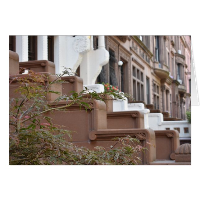 Upper West Side Brownstones New York City NYC (Front Horizontal)