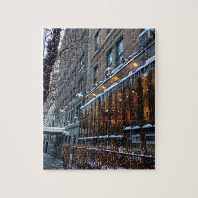 Upper West Side Icicles New York City Winter NYC Jigsaw Puzzle (Vertical)