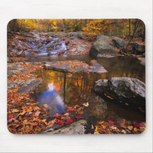 Upper Whiteoak Falls, Shenandoah National Park, VA Mouse Mat