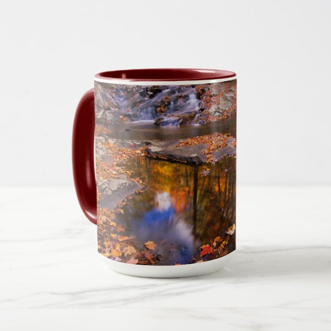 Upper Whiteoak Falls, Shenandoah National Park, VA Mug (Front Left)