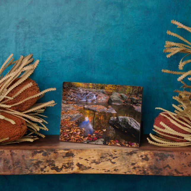 Upper Whiteoak Falls, Shenandoah National Park, VA Plaque (Side)