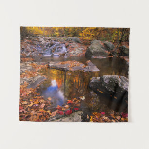 Upper Whiteoak Falls, Shenandoah National Park, VA Tapestry