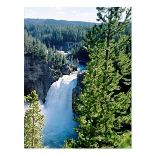 Upper Yellowstone Falls Postcard