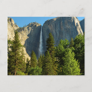 Upper Yosemite Falls, Merced River, Yosemite Postcard