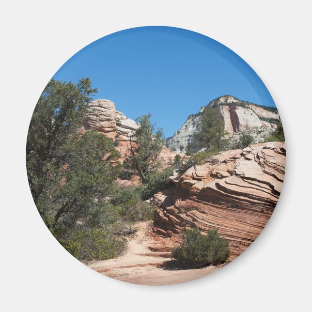 Upper Zion Weathered Sandstones Magnet (Front)
