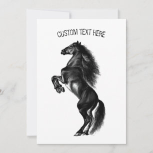 Upright Black Wild Horse - Black and White Drawing