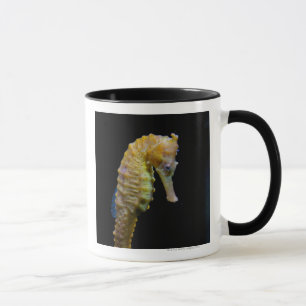 upright swimmerequine shapeprehensile taillong mug
