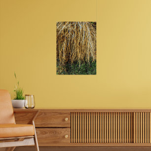 Uprooted 3 Print, Poster Paper (Semi-Gloss)