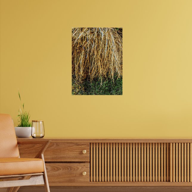 Uprooted 3 Print, Poster Paper (Semi-Gloss) (Living Room 2)