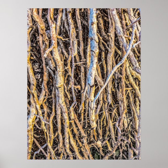 Uprooted 4 Print, Poster Paper (Semi-Gloss) (Front)