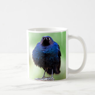 Upset Starling Coffee Mug