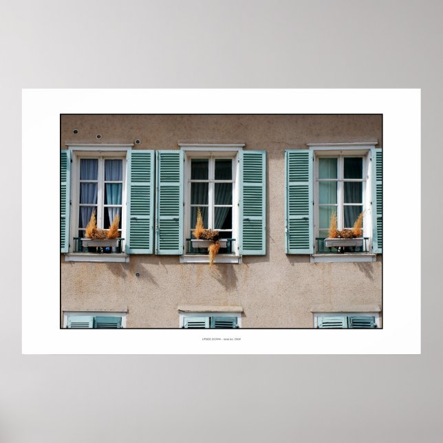 UPSIDE DOWN Poster (Front)