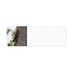 Upside Down Squirrel Address Label