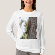 Upside Down Squirrel