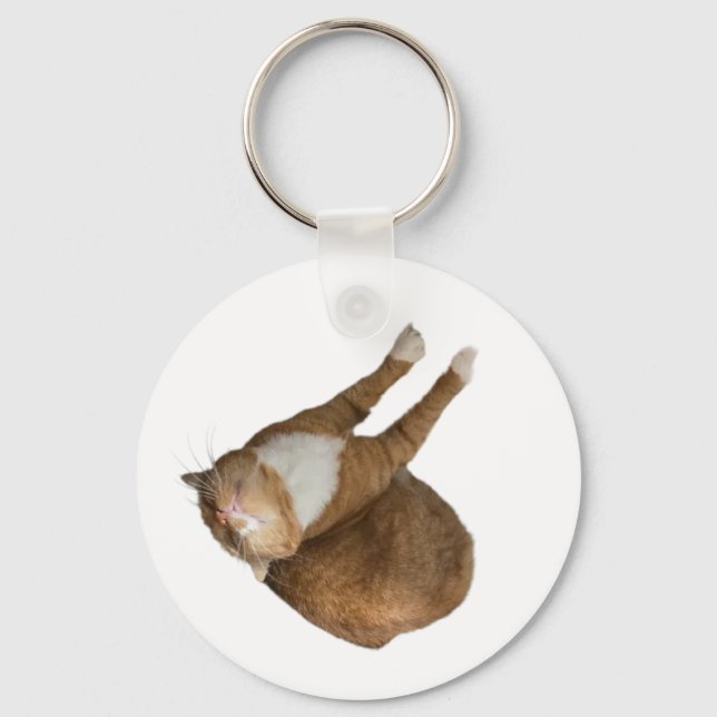 Upside-Down Sunshine Cat Key Ring (Front)