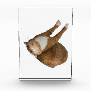 Upside-Down Sunshine Photo Block