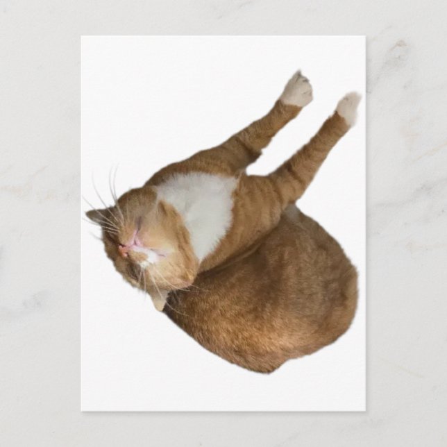 Upside-Down Sunshine Postcard (Front)