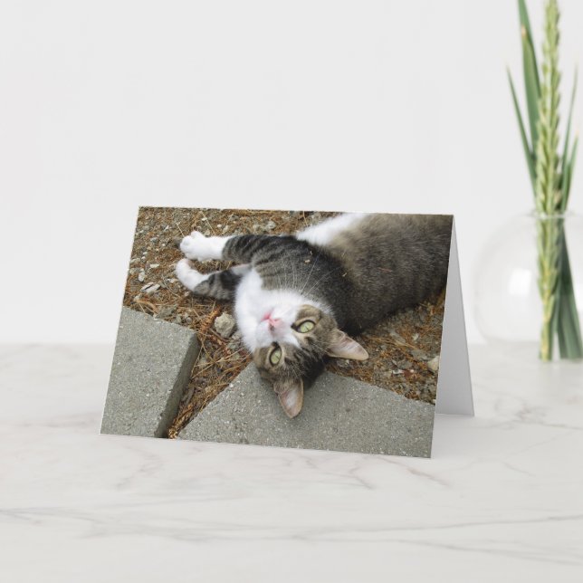 Upside Down Tabby Cat Easter Card (Front)