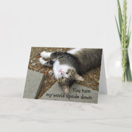 Upside Down World Cat Valentine's Day Card