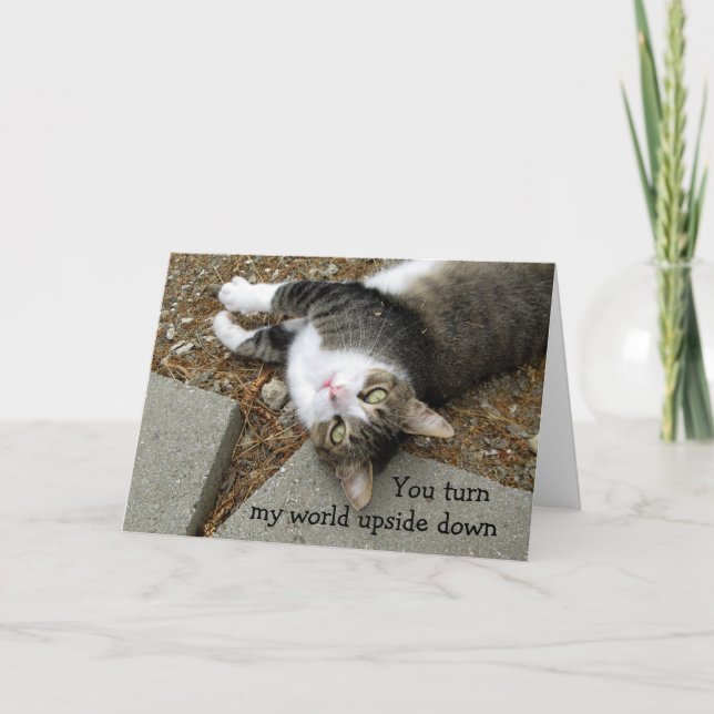 Upside Down World Cat Valentine's Day Card (Front)