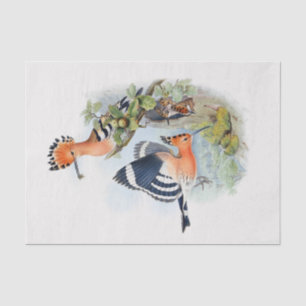 Upupa Epops Decoupage Tissue Paper