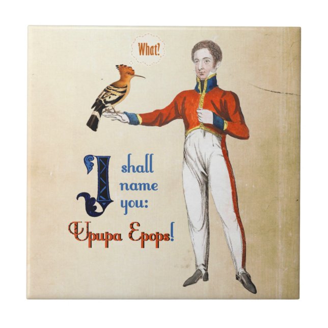 Upupa Epops Tile (Front)