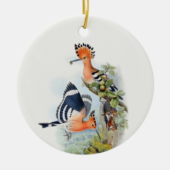Upupa Epops Tree Ceramic Tree Decoration (Front)