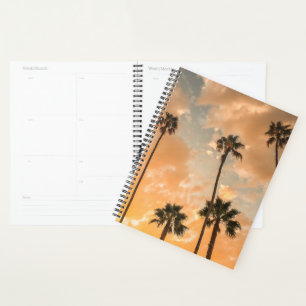 Upward View of Palms Planner