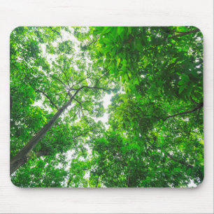 Upward View of Trees Mouse Mat