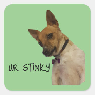 Ur Stinky sticker