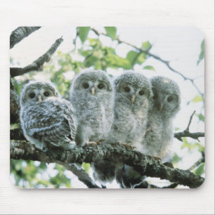 Ural owetsl. Ikeda-machi, Hokkaido, Japan Mouse Mat