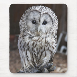 Ural Owl Mouse Mat