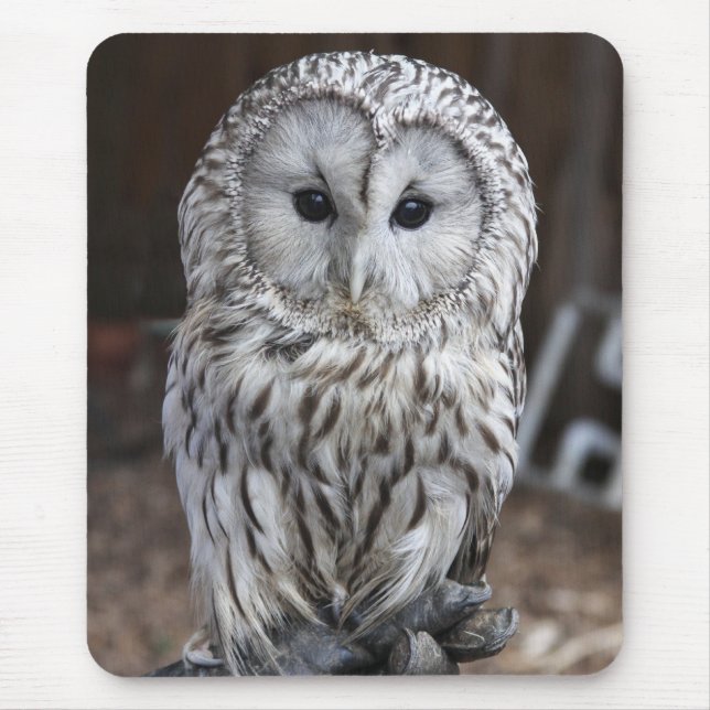 Ural Owl Mouse Mat (Front)