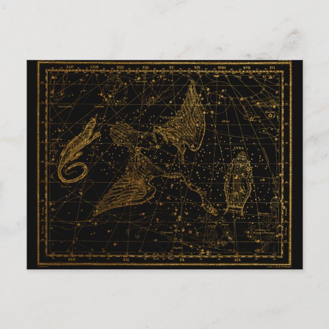 Urania's Mirror Celestial Map Gold and Black   Postcard (Front)